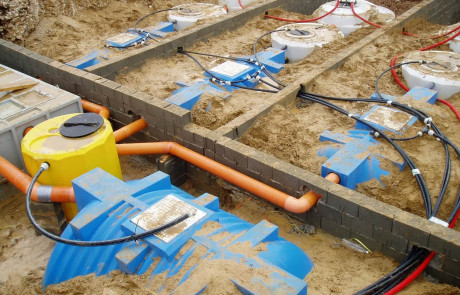 ISEAEKO | Projekti | Gaj Miranje