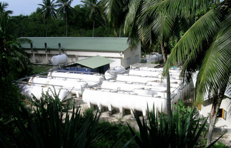 ISEAEKO | Seychelles